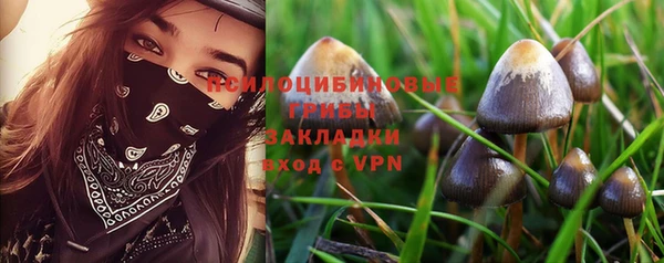спиды Вязьма