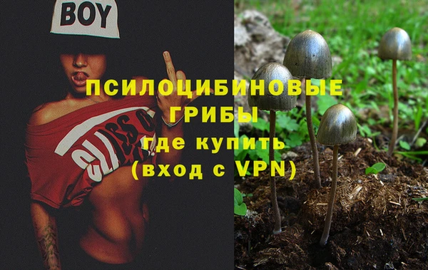 спиды Вязьма