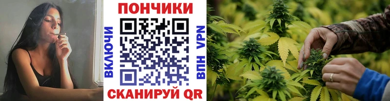 Купить  Тейково  Канабис индика 